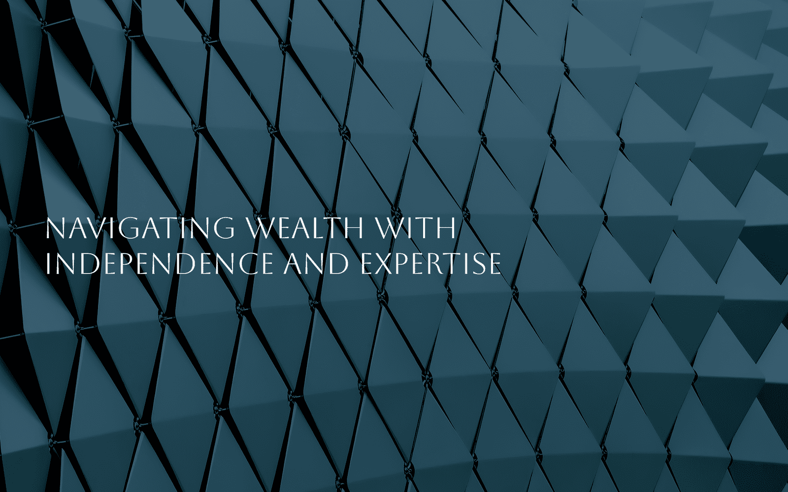 Blue-Ocean-Capital-Advisory-Website-Development-Video